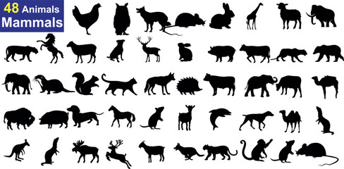 48 Animals Mammals , A collection of 48 black silhouettes of different mammals on a white background. Perfect for educational and creative projects