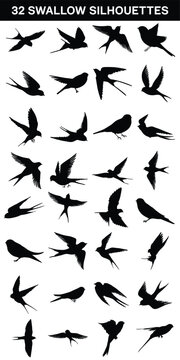 Collection of Swallows silhouette isolated on white background
