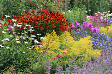 Mixed herbaceous perennial flower bed