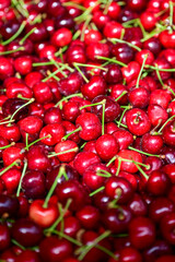 fresh and ripe cherries on a market stall in the Cibinsmarkt, Piaţa Cibin market in Hermannstadt, Sibiu, Transylvania, Romania