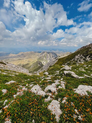 Dinaric Alps Mountain Landscape in Durmitor Montenegro