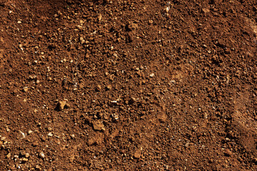 Red soil background, natural rocky ground
- 644135996