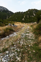 Fototapeta na wymiar Albanian mountain Alps. Mountain landscape, picturesque mountain view in the summer, large panorama 