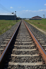Obraz premium railway line in rice fields