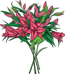 pink lily flower, vector wedding bouquet. Watercolor style pastel flowers. Isolated and editable element