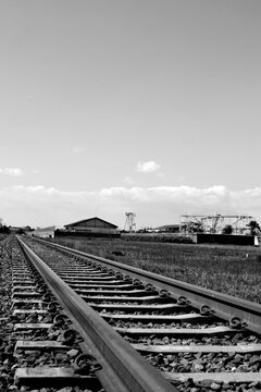 railway line in rice fields