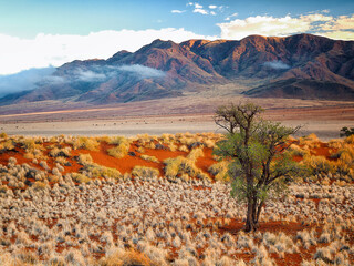Morning in the Namib desert, Namibia, Africa.