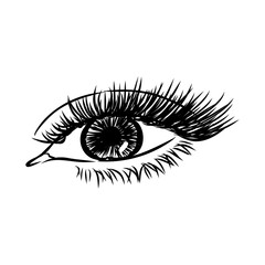 Beautiful woman eyes black and white drawing sketch. Vector fashion illustration.