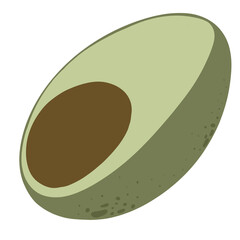 avocado fruit