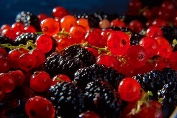 Delight in the vibrant harmony of luscious red currants and plump blackberries, a symphony of taste and beauty.