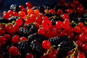 Delight in the vibrant harmony of luscious red currants and plump blackberries, a symphony of taste and beauty.