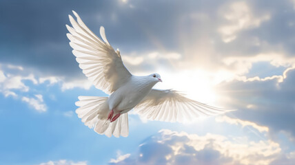A white dove with wings wide open in the blue sky air with clouds.