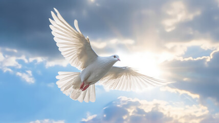 Obraz premium A white dove with wings wide open in the blue sky air with clouds.