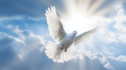 Obraz premium A white dove with wings wide open in the blue sky air with clouds.