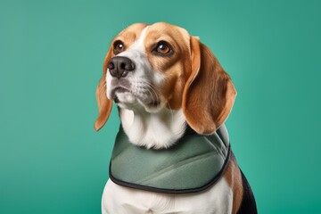 Lifestyle portrait photography of a smiling beagle wearing a cooling vest against a spearmint green background. With generative AI technology