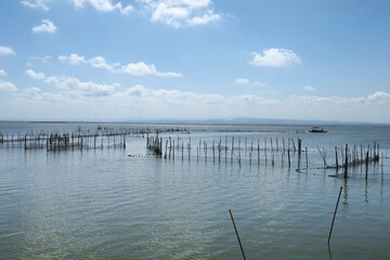 Obraz premium Typical fishing system with Rods and Sticks in The Albufera Lagoon