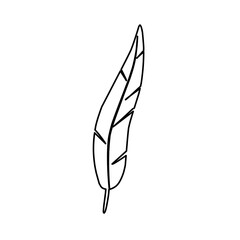 hand drawn feather outline