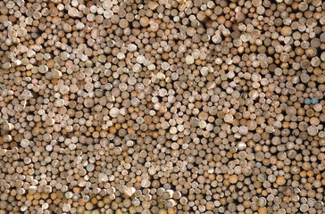 cut logs piled on top of each other in the industrial sawmill