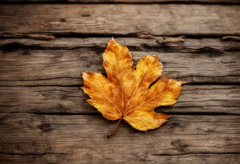 Naklejka na ściany i meble Autumn rustic background