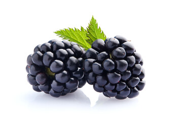 Blackberries with leaves in closeup