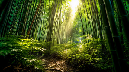 A serene bamboo forest with beauty sunlight. Serenity of nature. Generative AI