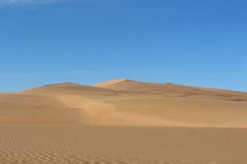 sand dunes in the desert