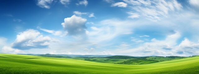 Fototapeta na wymiar Panorama green grass landscape background