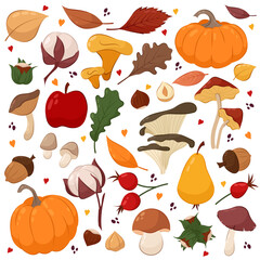 Big set of vector illustrations of autumn decorative elements. Mushrooms, leaves, pumpkins in flat style.