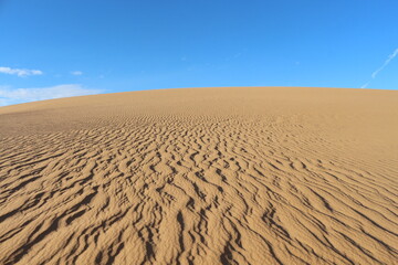 sand dunes in the desert
