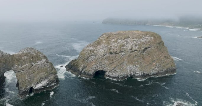 Nature's ethereal beauty in Oregon's foggy embrace.