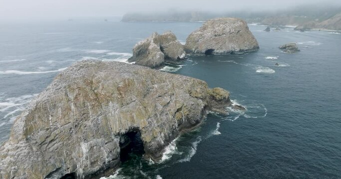 Oregon's rugged coast, a foggy dreamscape.