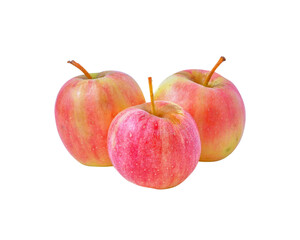 apple fruit transparent png