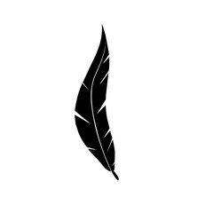 feather silhouette