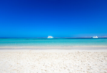 Fototapeta na wymiar tropical island with white sandy beach and sea