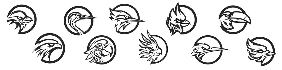 Template for design mascot, label, badge, emblem, print. Hand drawn silhouettes head birds heron, parrot, red cardinal, sparrow, kingfisher, toucan, woodpecker, blue jay, eagle. Art illustration.