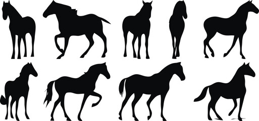Black and white horse silhouettes © ITrWorks
