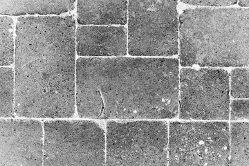 A black and white negative of the top view of a paved brick walkway.