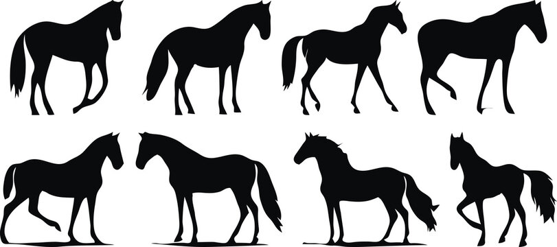 Horse silhouette illustrations set