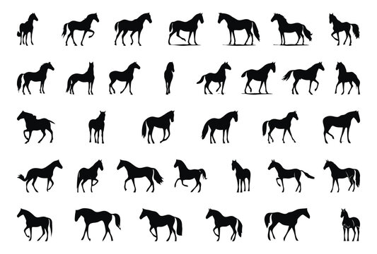 horse silhouette set illustrations