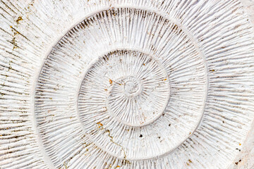   Spiral texture in Monument in Portimão Algarve Portugal  © Renata