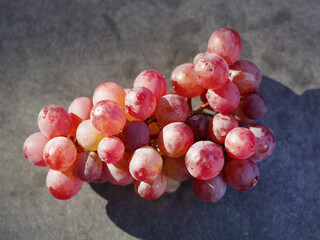 Fresh grapes from a garden vine