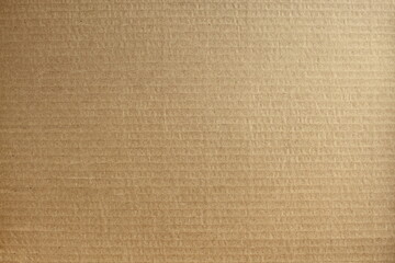 Fototapeta premium Abstract brown cardboard box background.