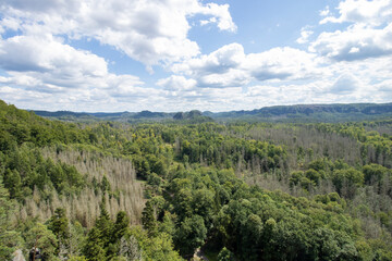 Aussicht vom 'Neuen Wildenstein'