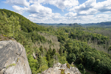Aussicht vom 'Neuen Wildenstein'
