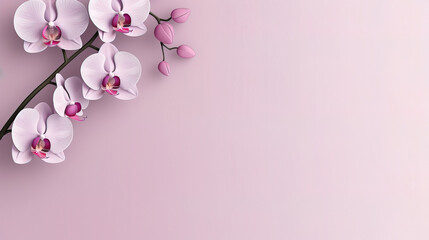 Naklejka na ściany i meble minimalist orchid flower illustration, with copy space