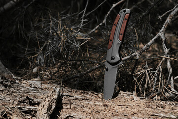Folding survival knife with wooden inserts in handle is stuck rotten fallen tree in forest.