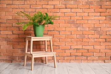 Green plant on stepladder near brick wall in room