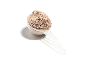 Chocolate whey protein powder in a plastic measuring spoon, isolated on white background