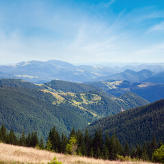 Summer mountain landscape with flowering grassland in front