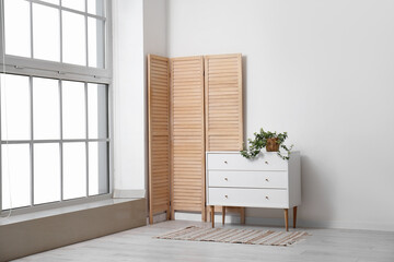 Green plant on chest of drawers in light room